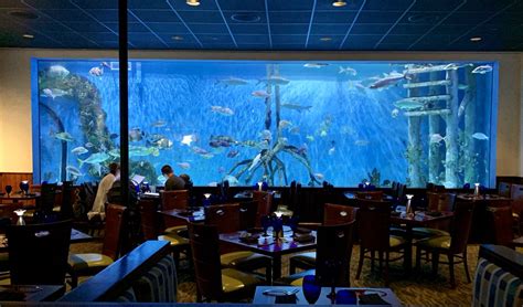 Rumfish grill - Description: RumFish Grill, located at RumFish Beach Resort, is a fully immersive experience where visitors can eat, drink, shop and explore. The restaurant’s main attraction is a 33,500-gallon aquarium that encompasses an entire wall of the dining room. Offering indoor and outdoor bars with live music and …